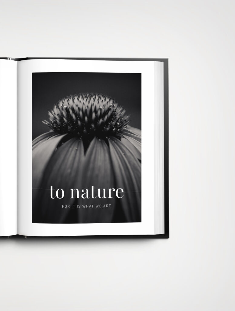 Inside of a book with a close-up image of a flower.