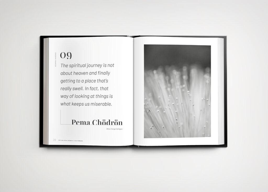 Inside of a book with a quote by American Buddhist nun, Pema Chodron.